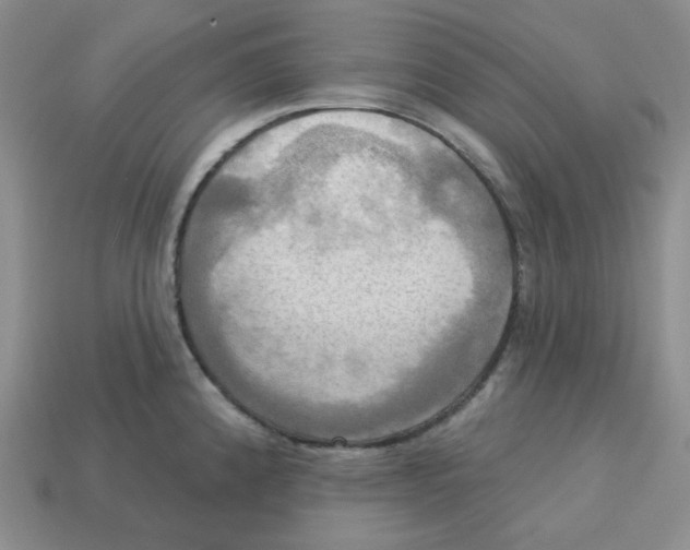 X0000113301192200910131041