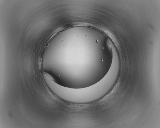 X0000113301193200910131041