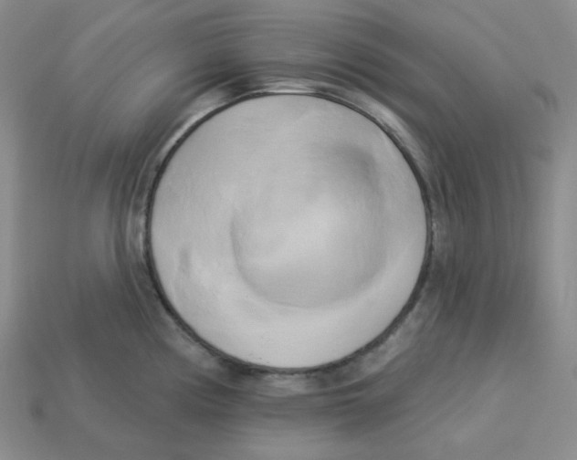 X0000113301194200910131041