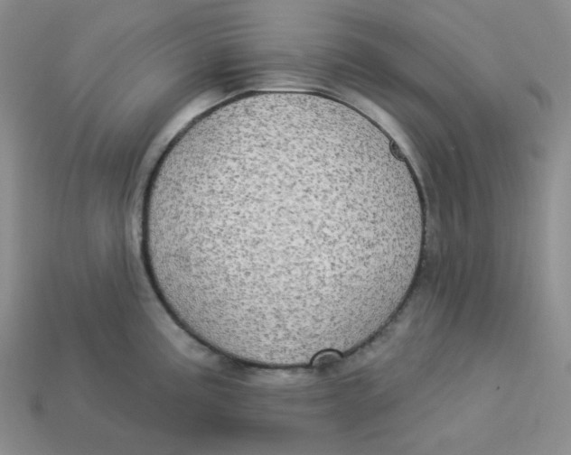 X0000113301195200910131041