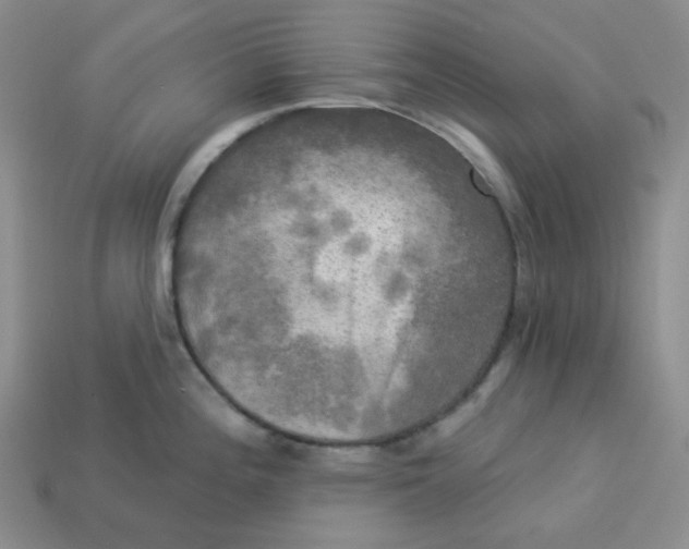 X0000113301196200910131041