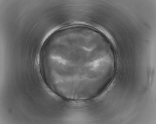 X0000113301198200910131041