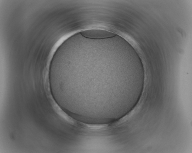 X0000113301200200910131041