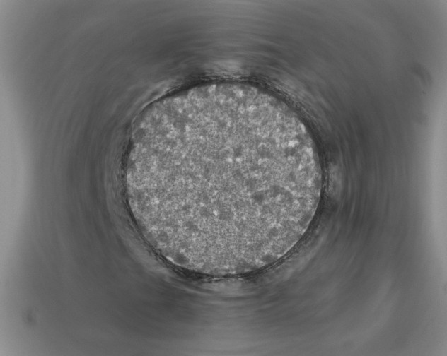 X0000113301201200910131040