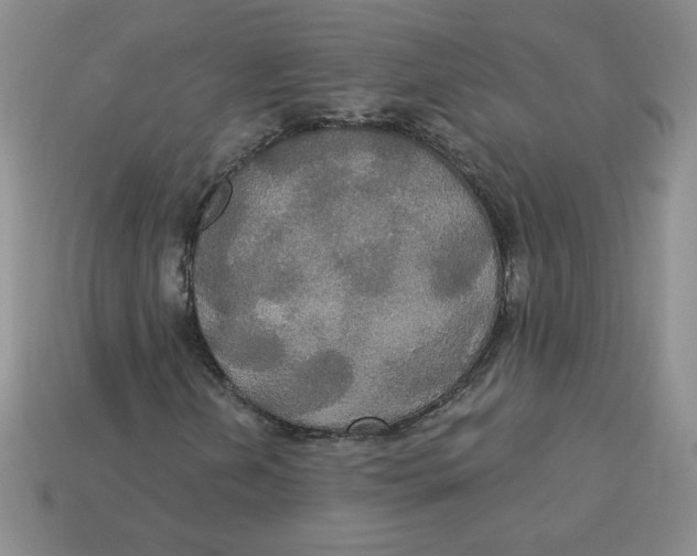 X0000113301202200910131040