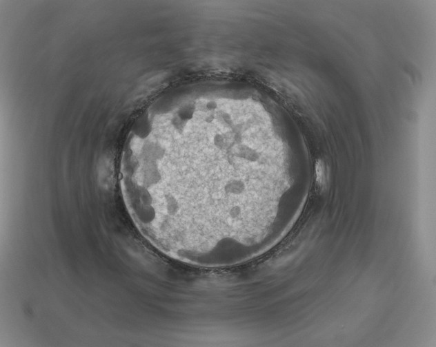 X0000113301203200910131040