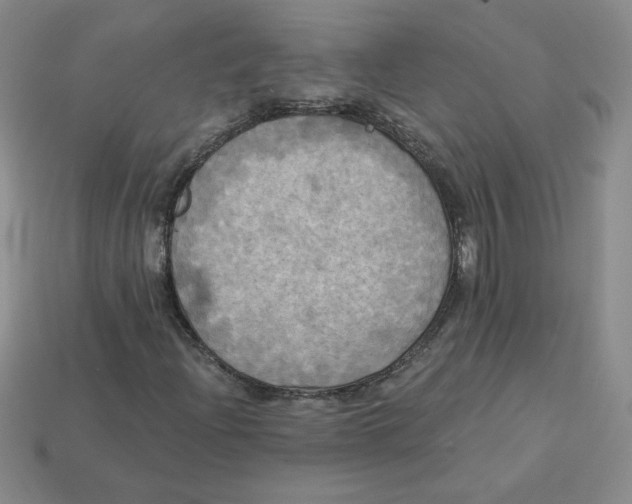 X0000113301204200910131040