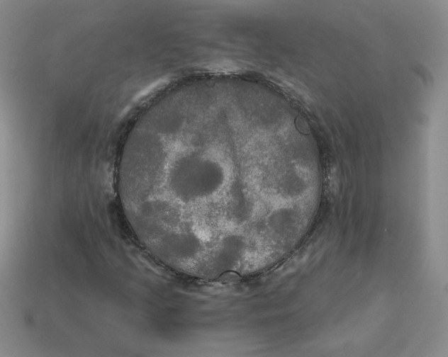 X0000113301205200910131040