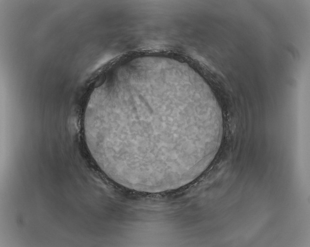 X0000113301206200910131040