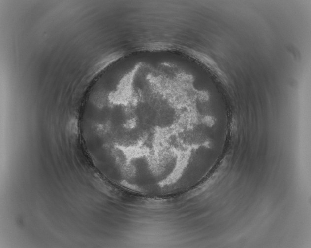 X0000113301209200910131040