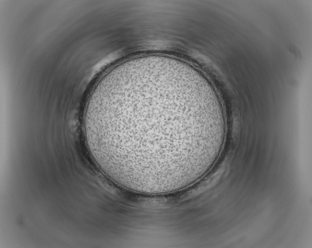X0000113301210200910131040