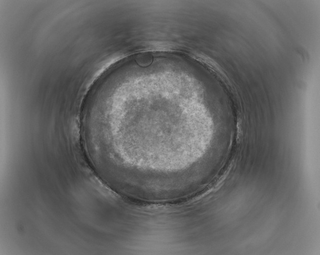 X0000113301212200910131040
