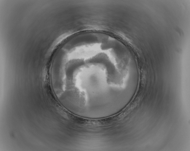 X0000113301215200910131040