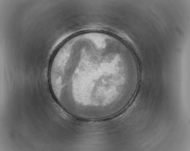 X0000113301216200910131040