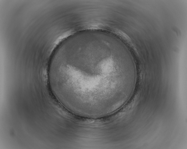 X0000113301218200910131040
