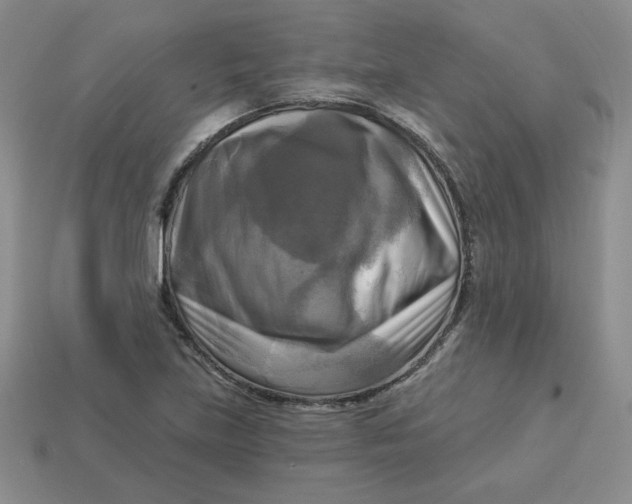 X0000113301219200910131040