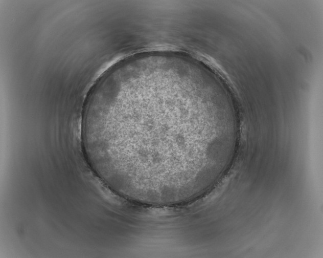 X0000113301220200910131040