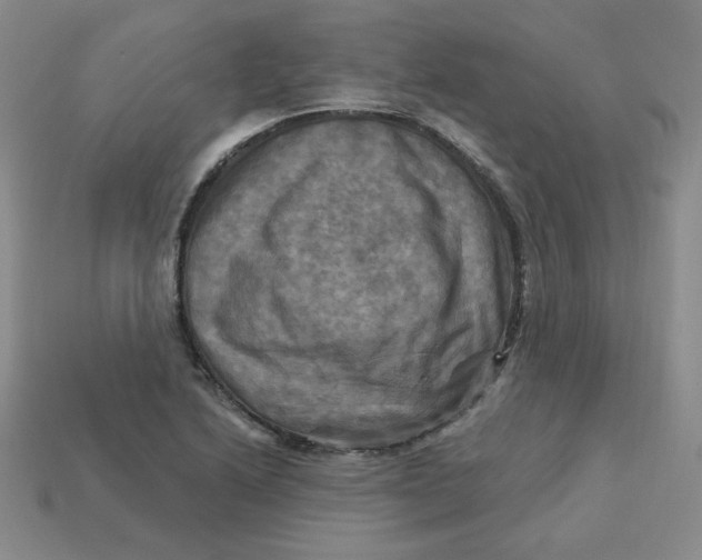 X0000113301222200910131040