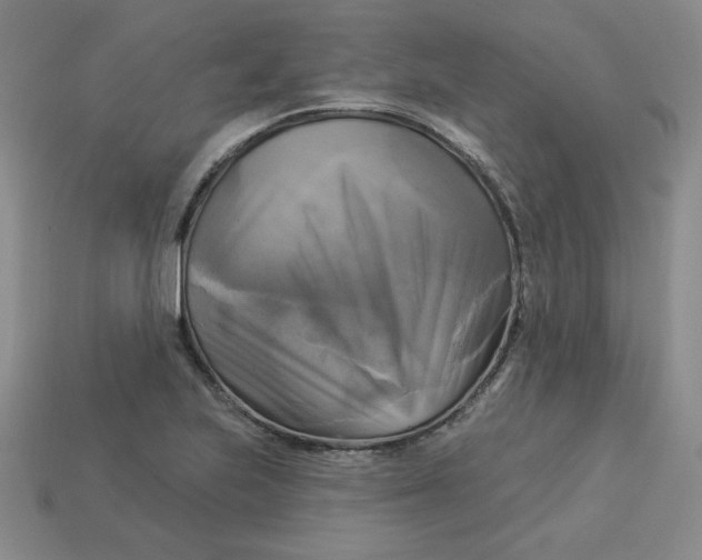 X0000113301223200910131040