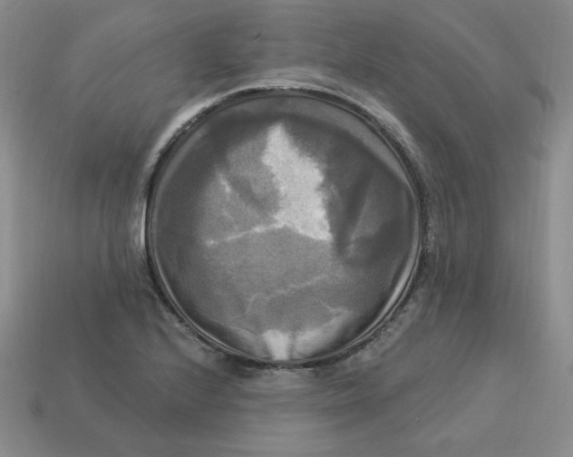 X0000113301224200910131040