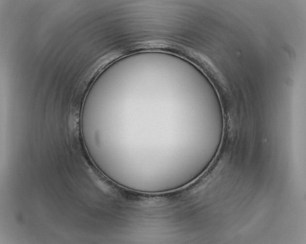 X0000113301225200910131040