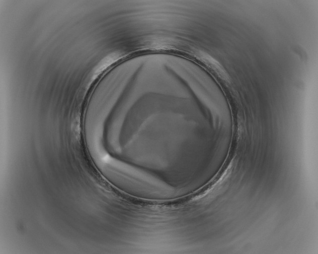 X0000113301226200910131040