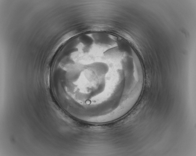 X0000113301227200910131040
