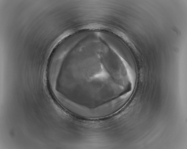 X0000113301229200910131040