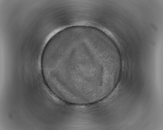 X0000113301230200910131040