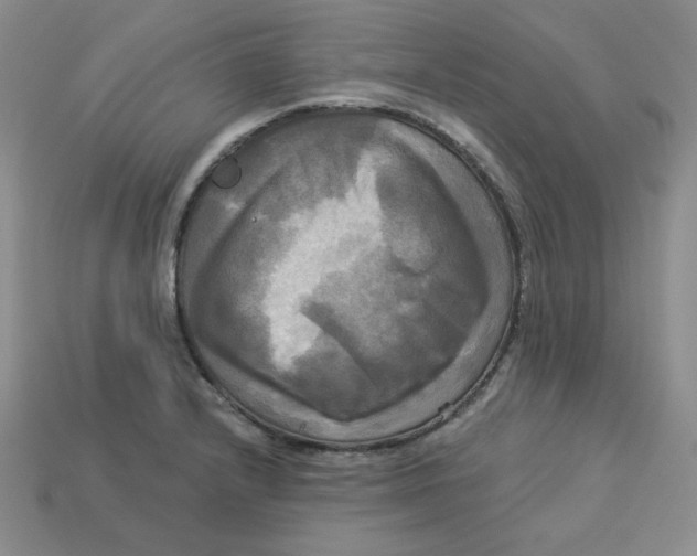 X0000113301232200910131040
