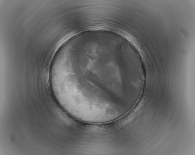 X0000113301234200910131040