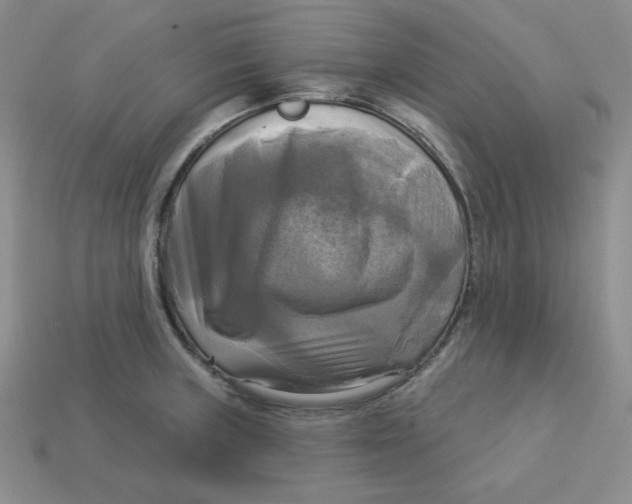X0000113301235200910131040