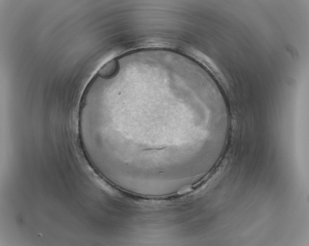 X0000113301236200910131040
