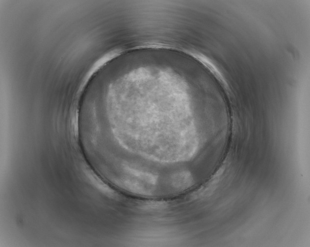X0000113301238200910131040