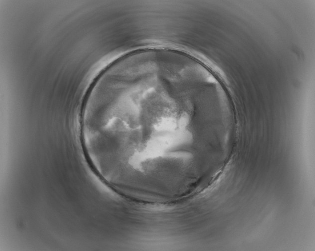 X0000113301239200910131040