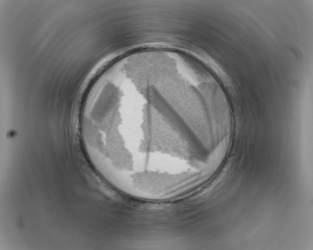X0000113301240200910131040