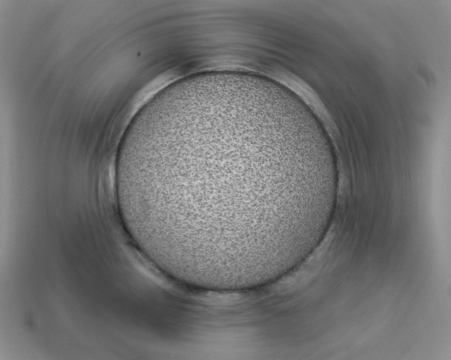 X0000113301242200910131040