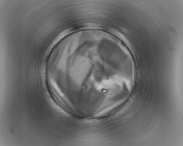 X0000113301243200910131040