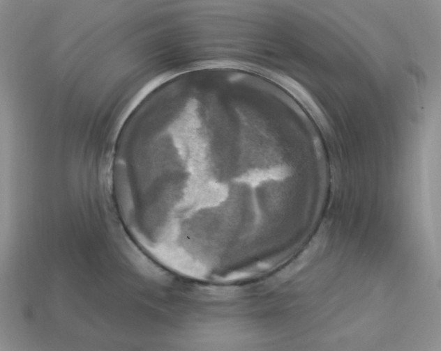 X0000113301244200910131040