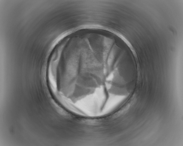X0000113301245200910131041