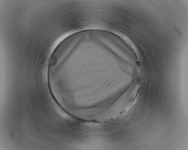 X0000113301246200910131041