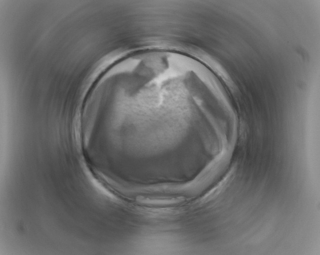 X0000113301247200910131041