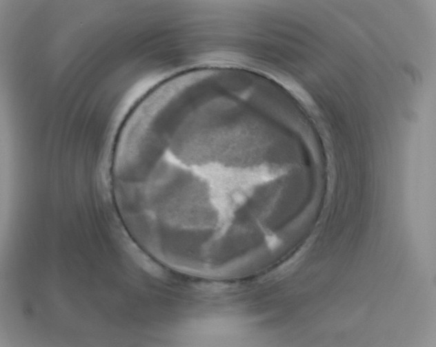 X0000113301248200910131041