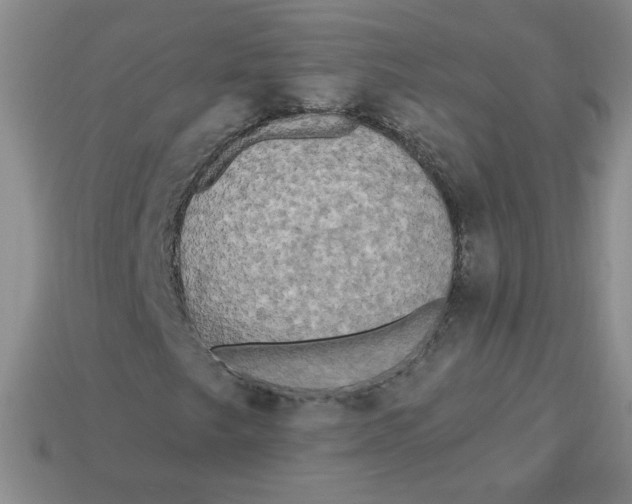 X0000113301249200910131040