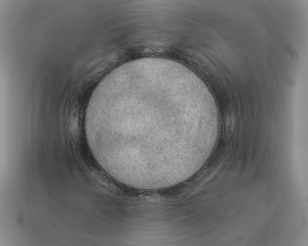 X0000113301250200910131040
