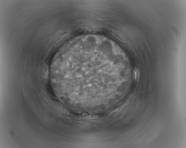 X0000113301251200910131040