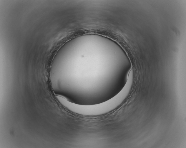 X0000113301253200910131040