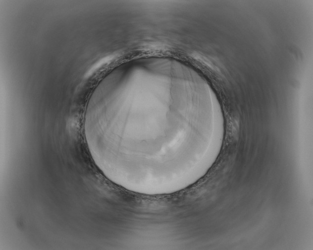 X0000113301254200910131040