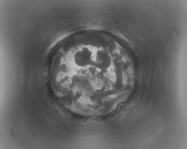 X0000113301255200910131040