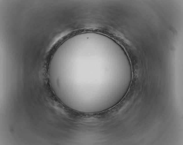 X0000113301256200910131040